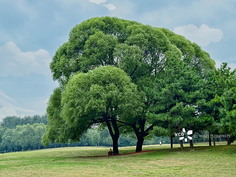 北京朝阳公园图片素材