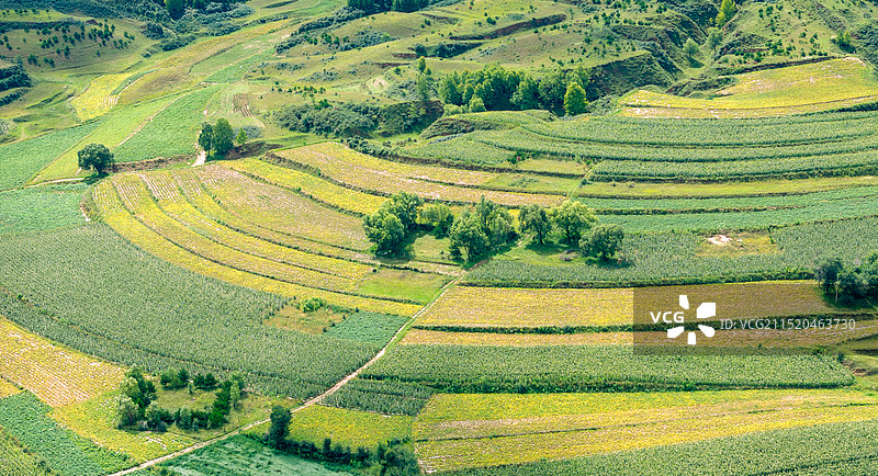 山西省岚县秀美田园风光图片素材
