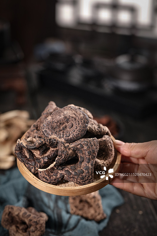 黑虎掌菌 虎掌菌图片素材