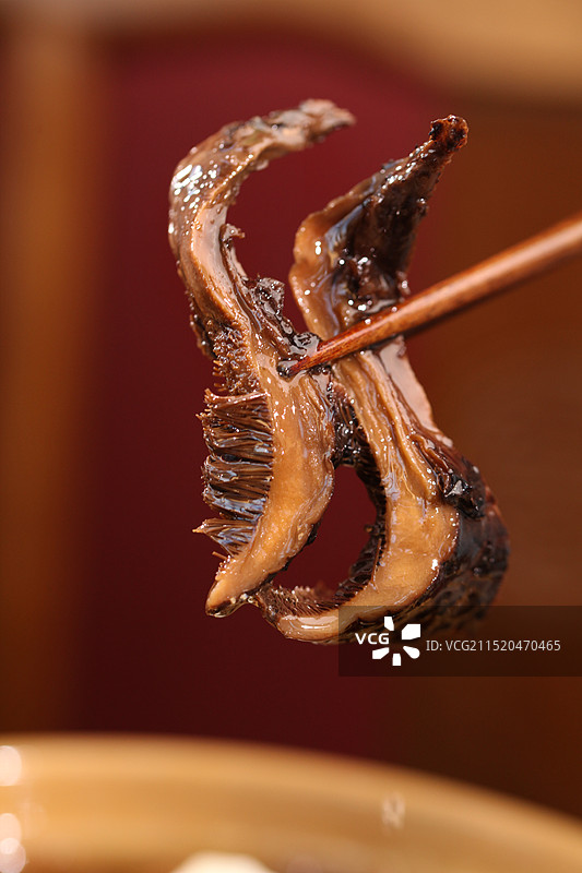 黑虎掌菌汤图片素材