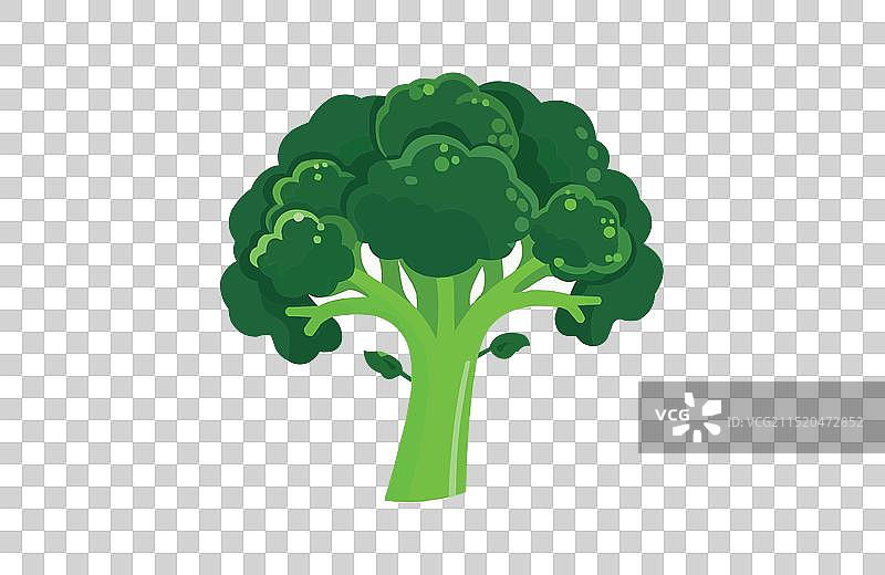 白色背景上的彩色西兰花图标图片素材