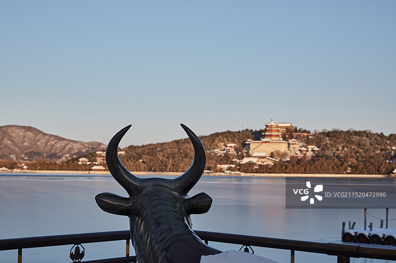 雪后的北京颐和园铜牛图片素材