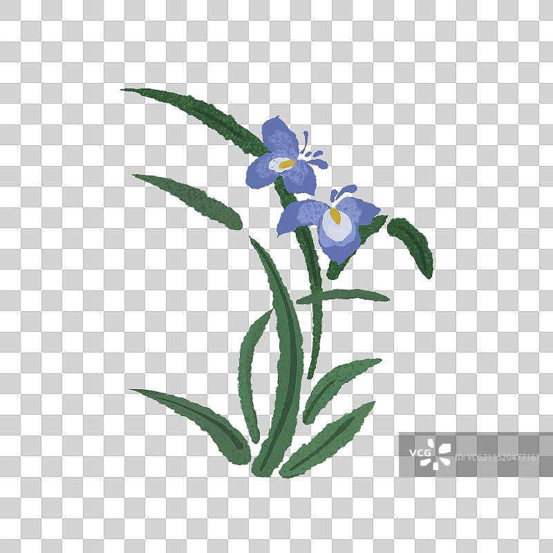 国风水墨兰花手绘插画图片素材