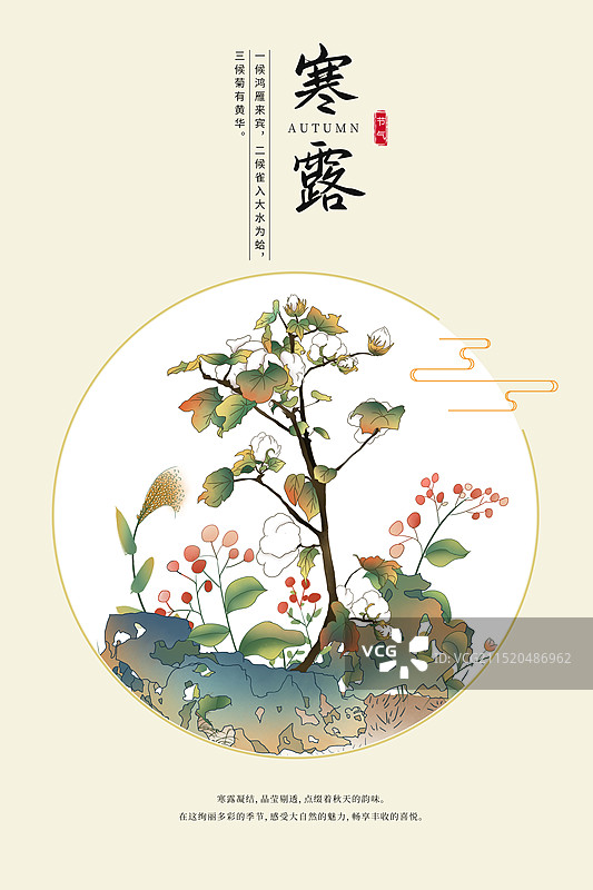 中国风二十四节气系列插画海报模版-秋天-寒露 假山旁的野草野花和棉花 收获季节 古风窗口小清新 竖版图片素材