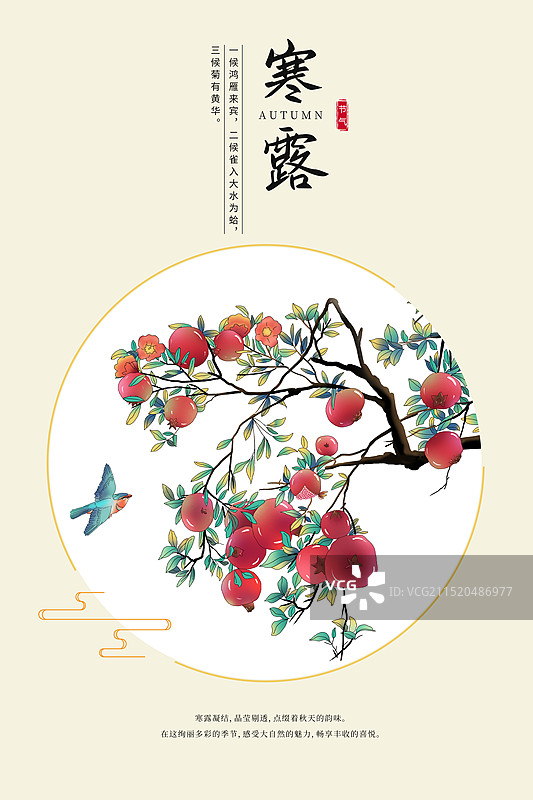 中国风二十四节气系列插画海报模版-秋天-寒露 石榴树上结了很多石榴 收获季节 古风窗口小清新 竖版图片素材
