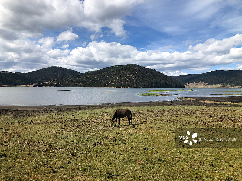 香格里拉普达措国家公园图片素材