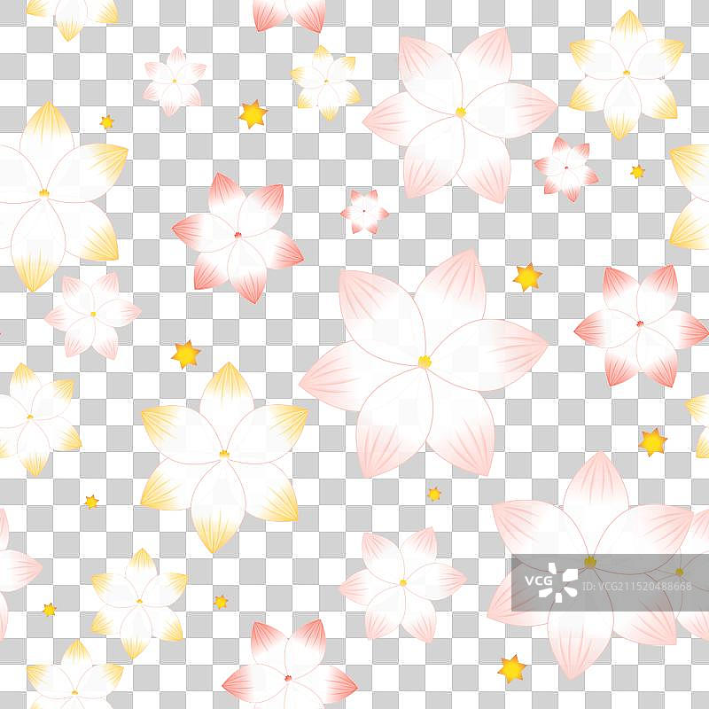 风雨兰胖丽丽花朵插画图片素材