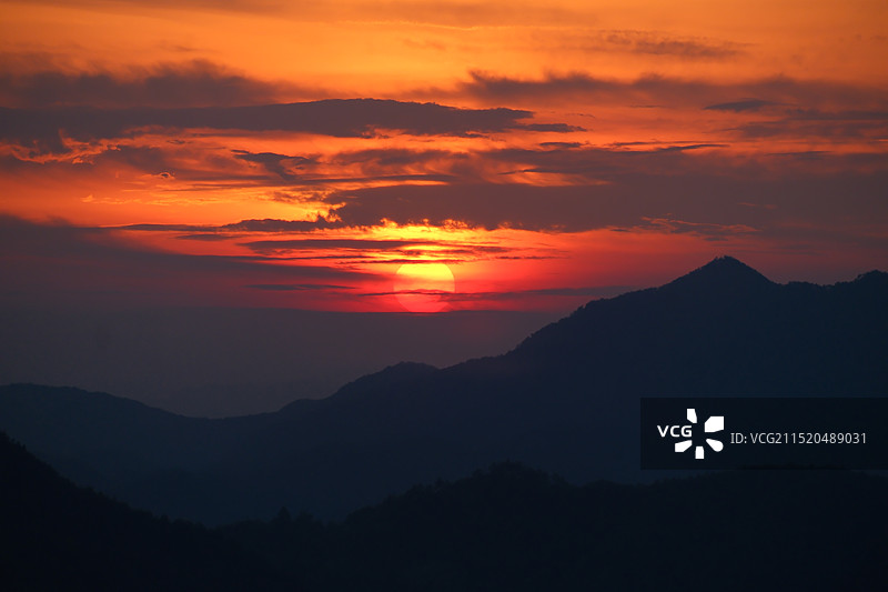 安徽石潭 向日葵花海日落图片素材