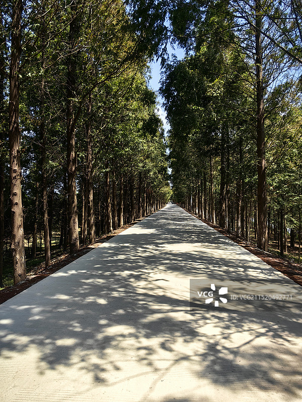 沪杭公路，随塘河路图片素材