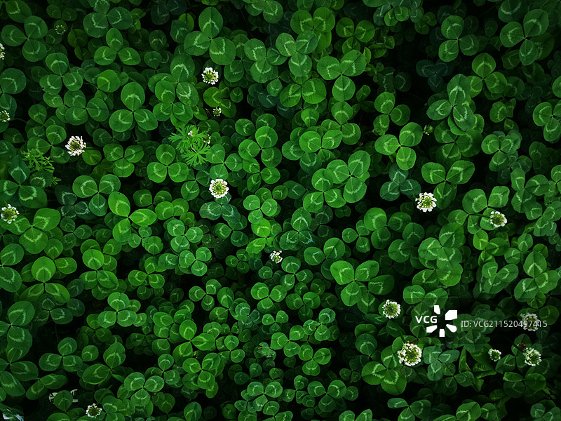 幸运组合图片素材