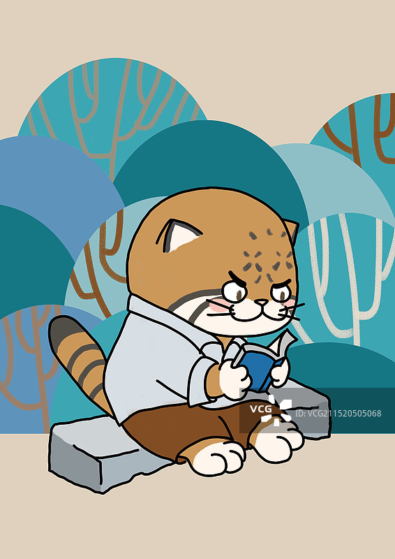 兔狲看书图片素材