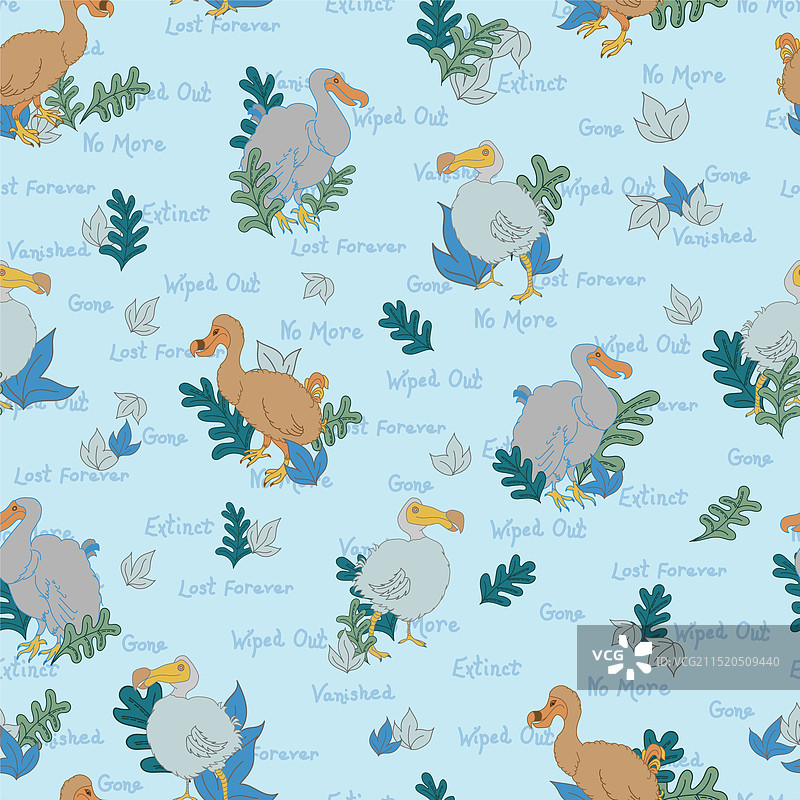 蓝色背景上的渡渡鸟与动植物图片素材