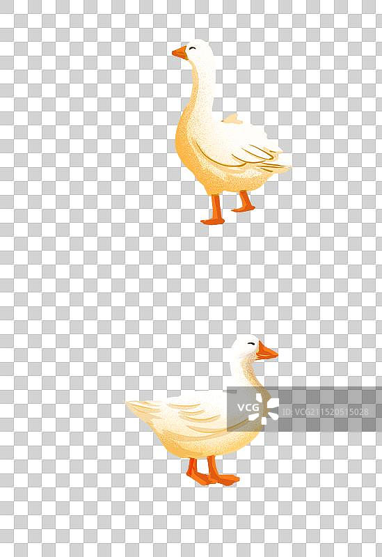 国潮鸭子图片素材