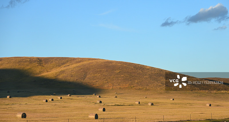 内蒙古深秋金黄色大草原和牛羊马图片素材