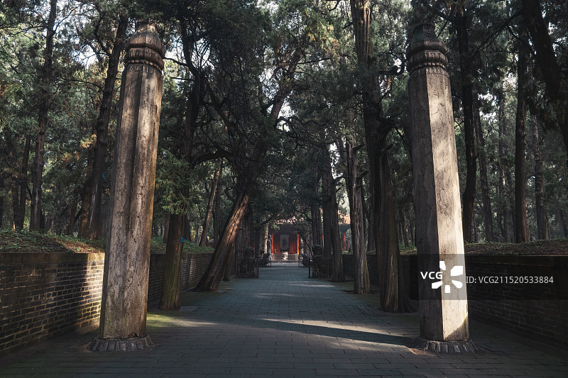 山东曲阜孔林孔子墓图片素材