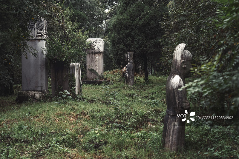 山东曲阜孔林石像生图片素材