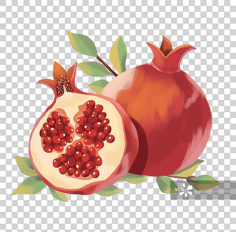 石榴插画图片素材