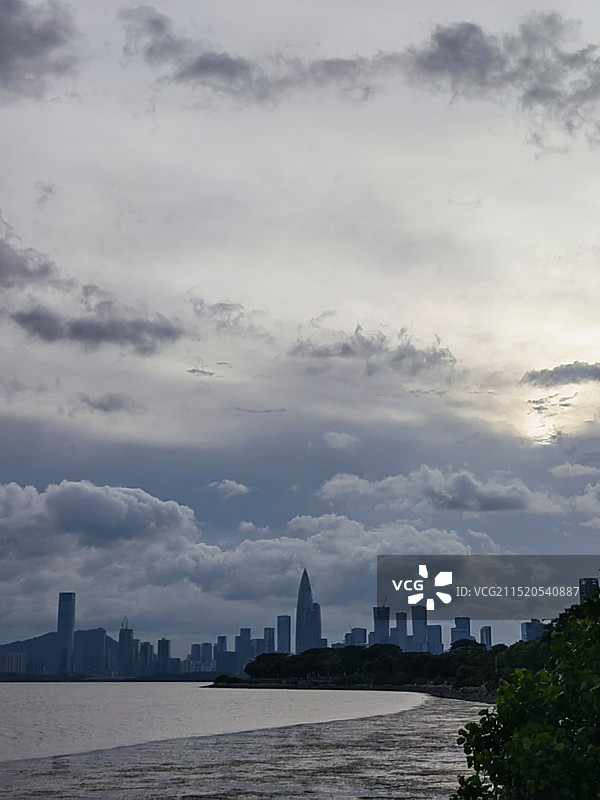 都市海景•深圳湾图片素材