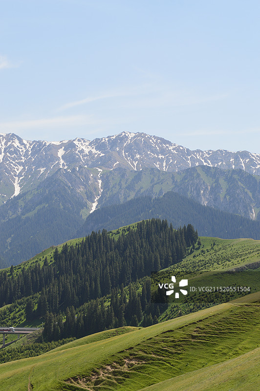新疆伊犁蓝天白云白雪皑皑的雪山下的森林和草地高架桥风景图片素材