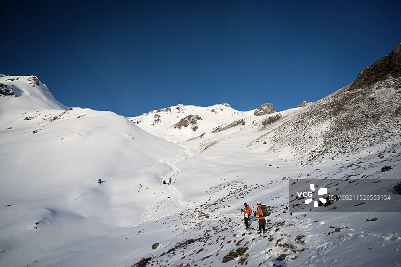 雪白中的自由图片素材