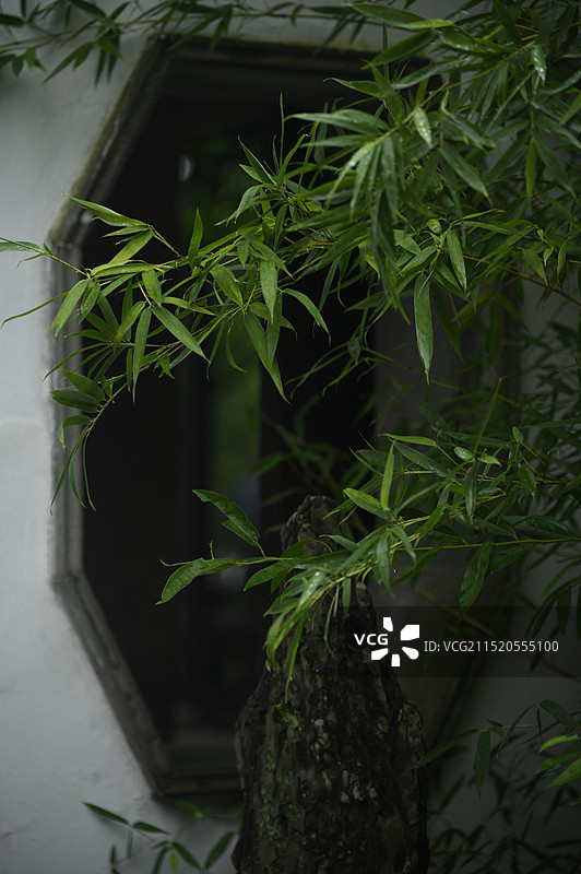 拙政园一角图片素材