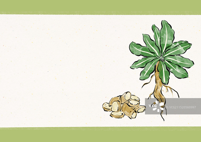 国潮风中医药插画-板蓝根图片素材