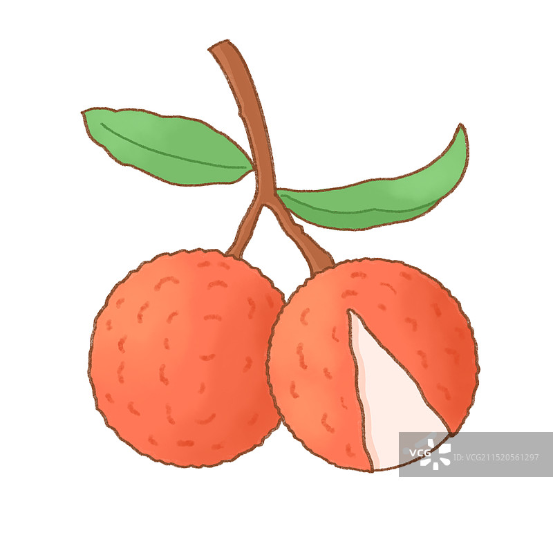 荔枝插画图片素材