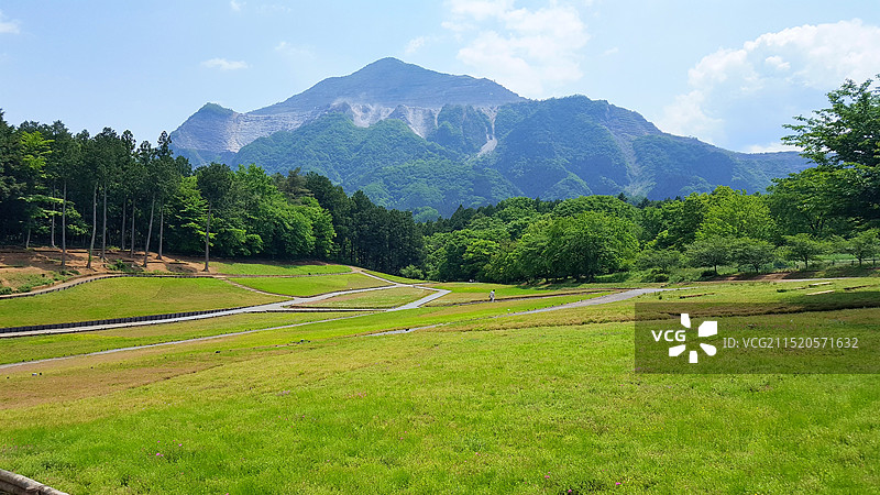 日本埼玉县秩父市，初夏的羊山公园图片素材