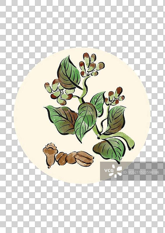 国潮风中医药插画元素-丁香图片素材