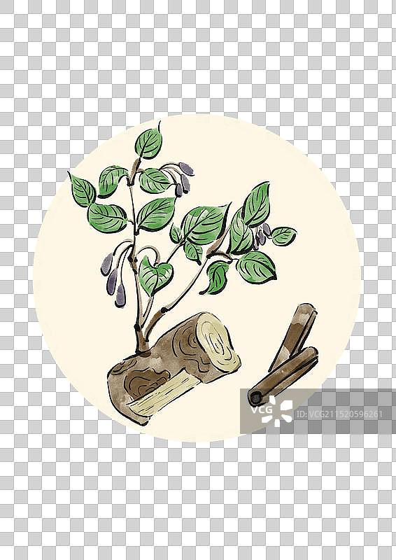 国潮风中医药插画元素-肉桂图片素材