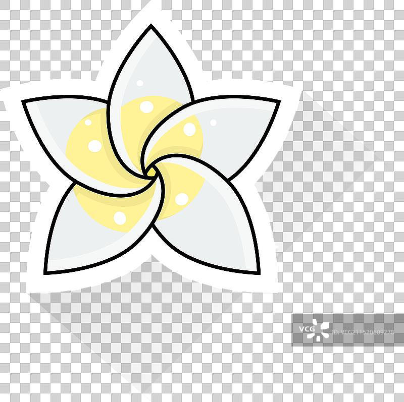 缅栀花图片素材