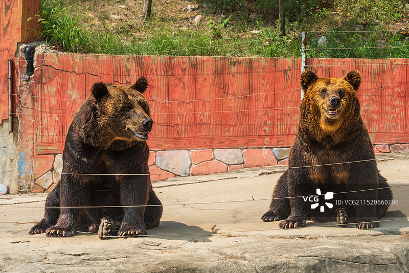 南京市金牛湖野生动物王国图片素材