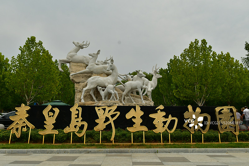 秦皇岛野生动物园图片素材