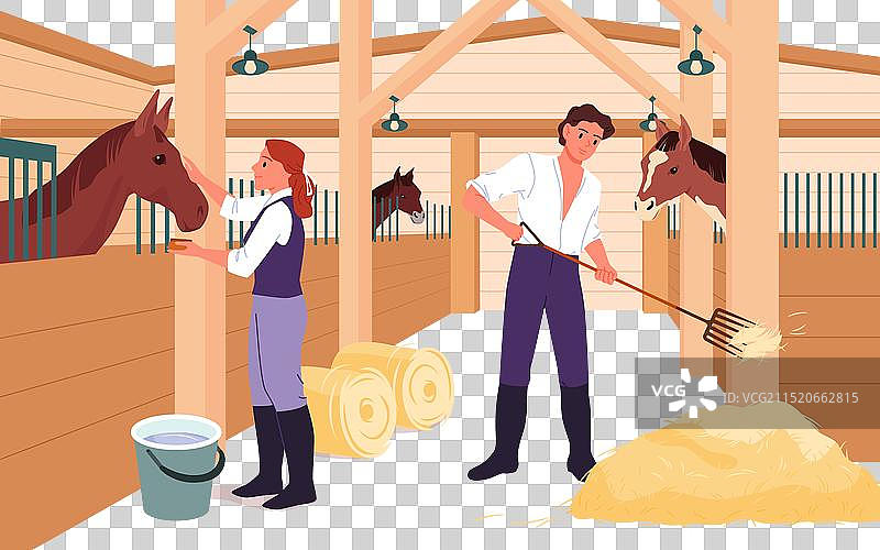 在马厩里为骏马工作的人图片素材