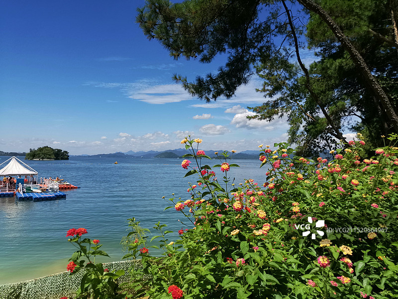 杭州千岛湖森林氧吧图片素材