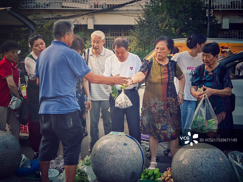 受欢迎的新鲜蔬菜图片素材