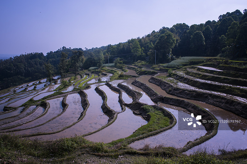 四川富顺青山岭的梯田风光图片素材