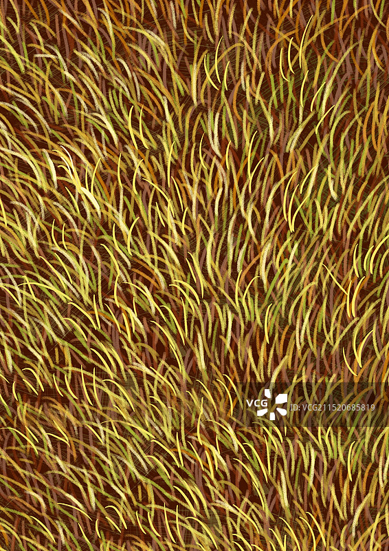 秋天的草地图片素材