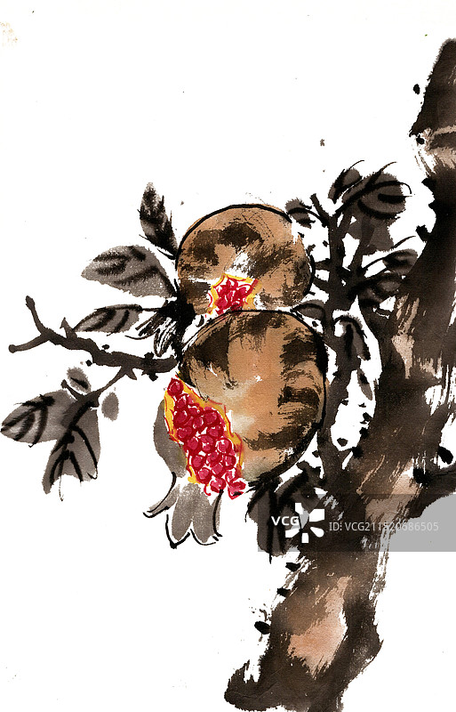 成熟的石榴图片素材