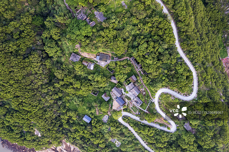 清晨海岛丛林中的道路俯视航拍图片素材