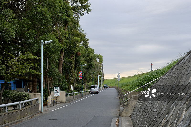 空旷的道路在空旷的树木中迎着天空图片素材