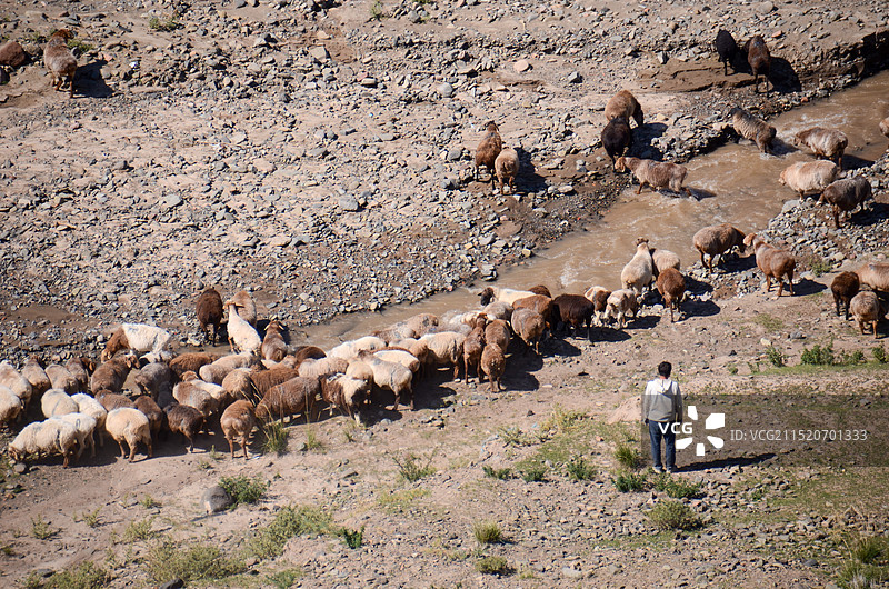牧羊人图片素材