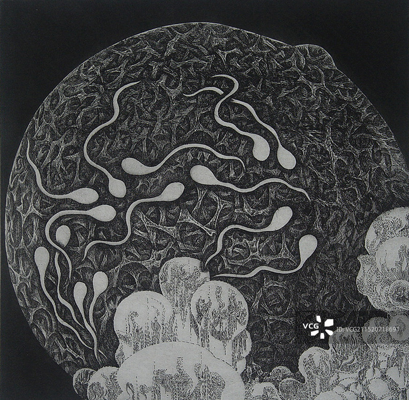 《生命的符号NO.10》铜版图片素材