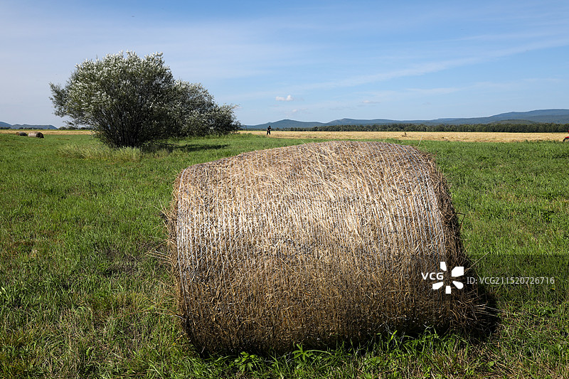 草垛图片素材