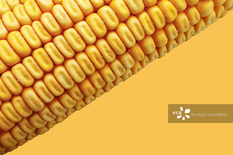 玉米图片素材