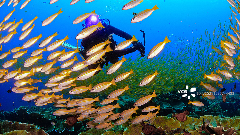 在海里游泳的人图片素材