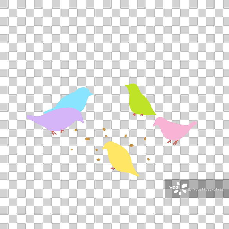 彩色小鸟元素图片素材