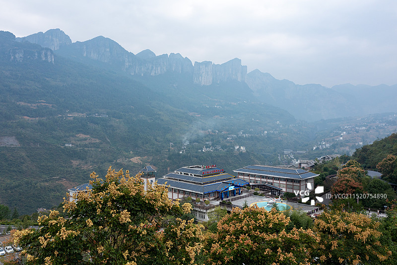 湖北恩施大峡谷栾树花开图片素材