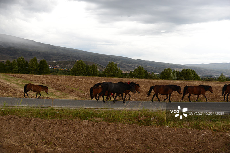 甘孜县风景图片素材