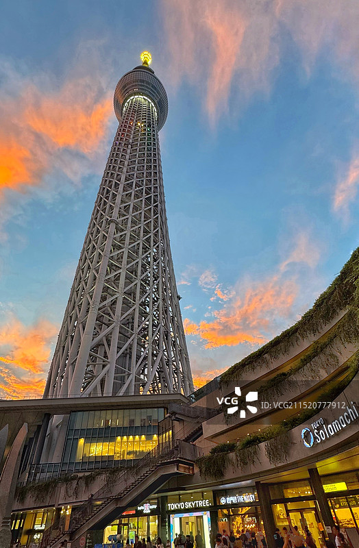 东京天空树图片素材